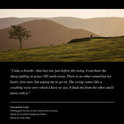 GreenRabbit Golf, The Golfers Journal, The Golfers Journal No. 15, Magazin - GreenRabbit Golf GOLFFASHION & LIFESTYLE