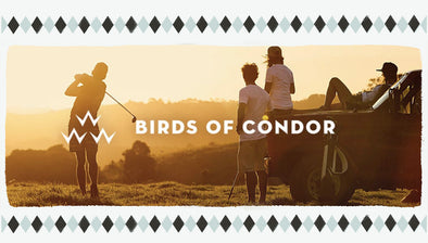 Birds of Condor